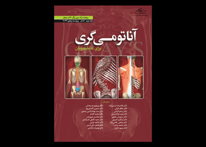 کتاب آناتومی گری برای دانشجویان 2024 جلد 2 اندام غلامرضا حسن‌زاده