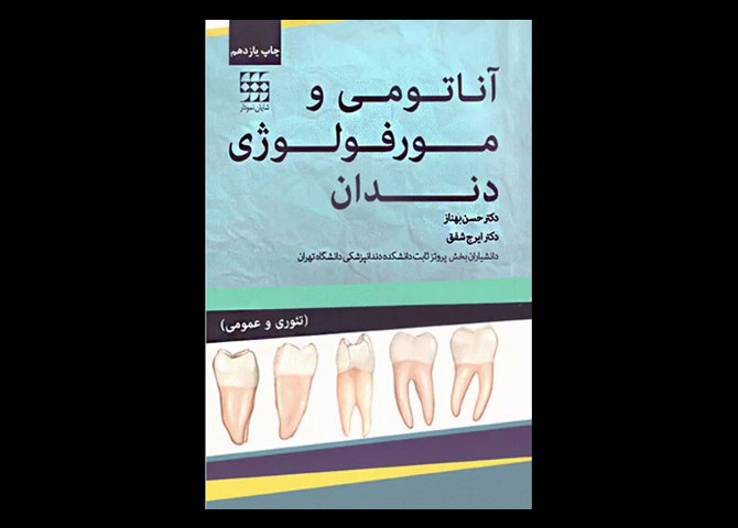 آناتومی و مورفولوژی دندان دکتر حسن بهناز