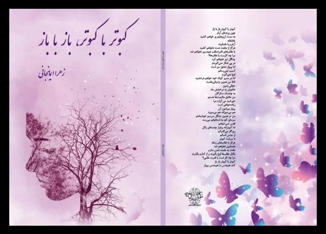 کتاب کبوتر با کبوتر باز با باز 