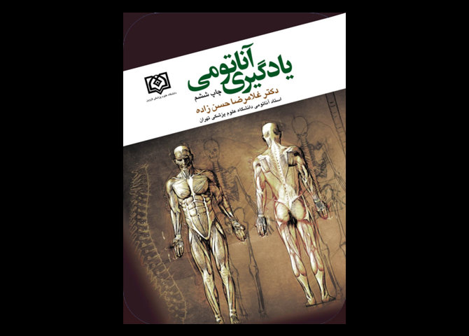  یادگیری آناتومی حسن زاده